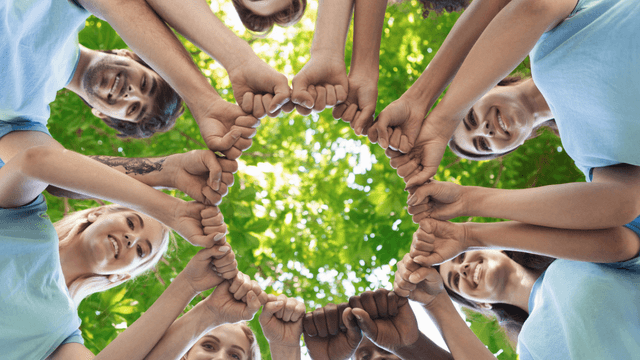 Cours de cuisine végétale